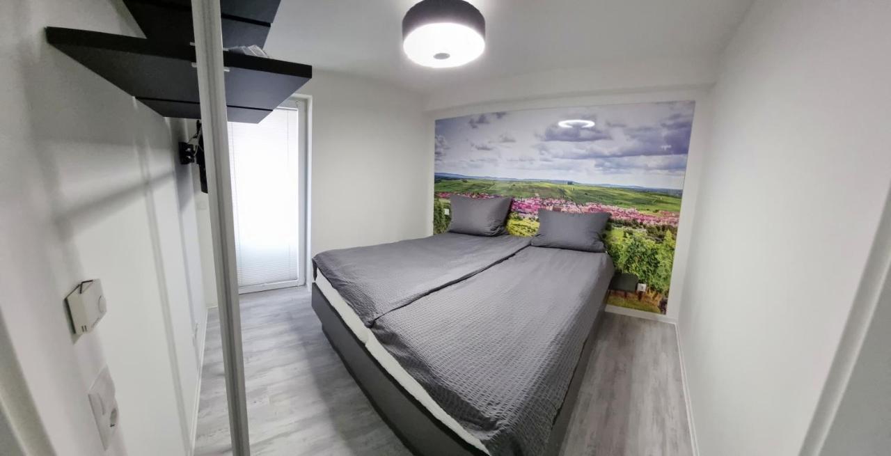 Feriendomizil Apartmentschreck フォルカッハ エクステリア 写真